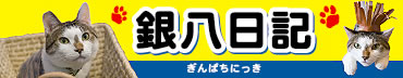 銀八日記